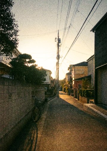 使い捨て